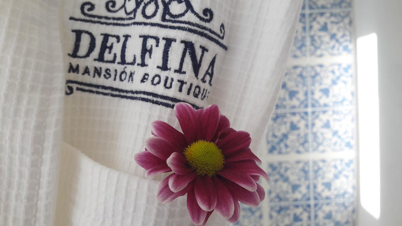 Delfina Boutique Hotel メリダ エクステリア 写真